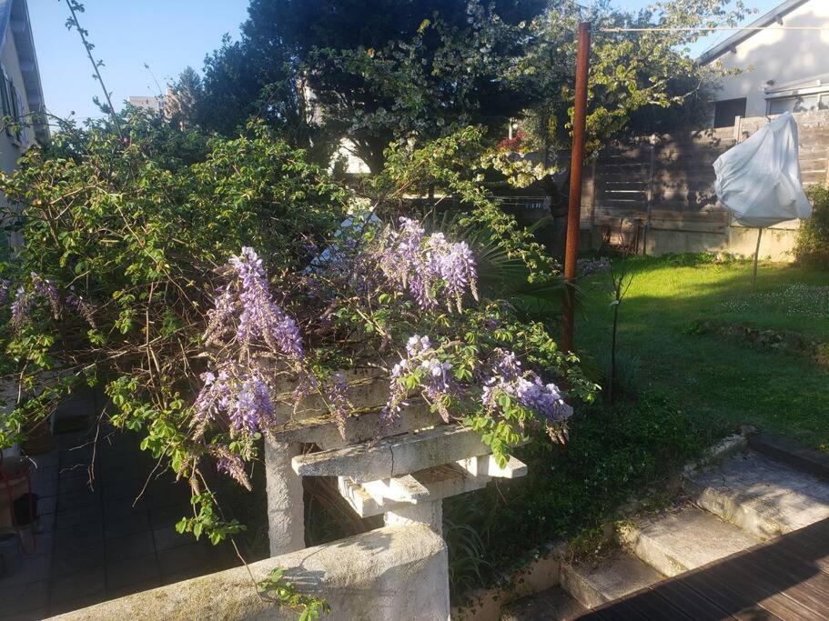Studio Buena Vista Avec Terrasse Sur Jardin Bron Εξωτερικό φωτογραφία